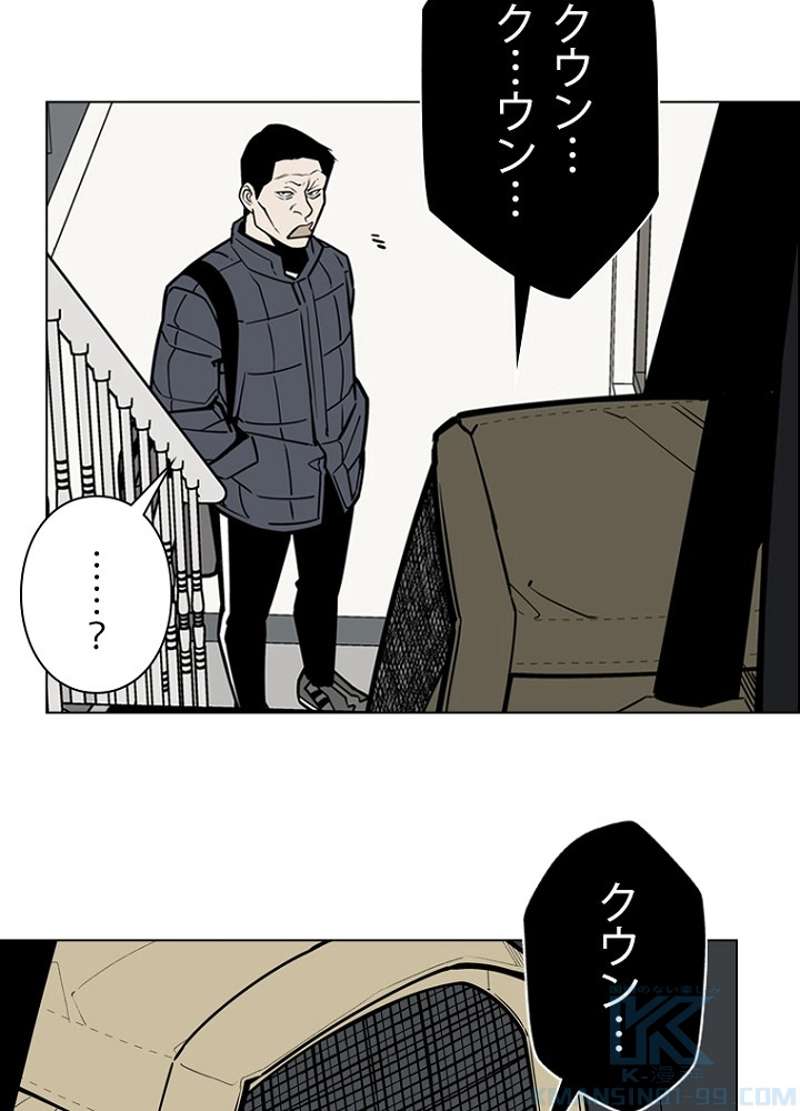 P64