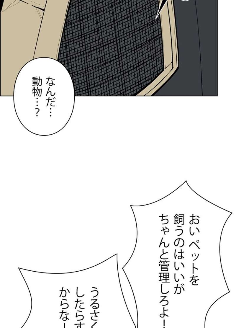 P65