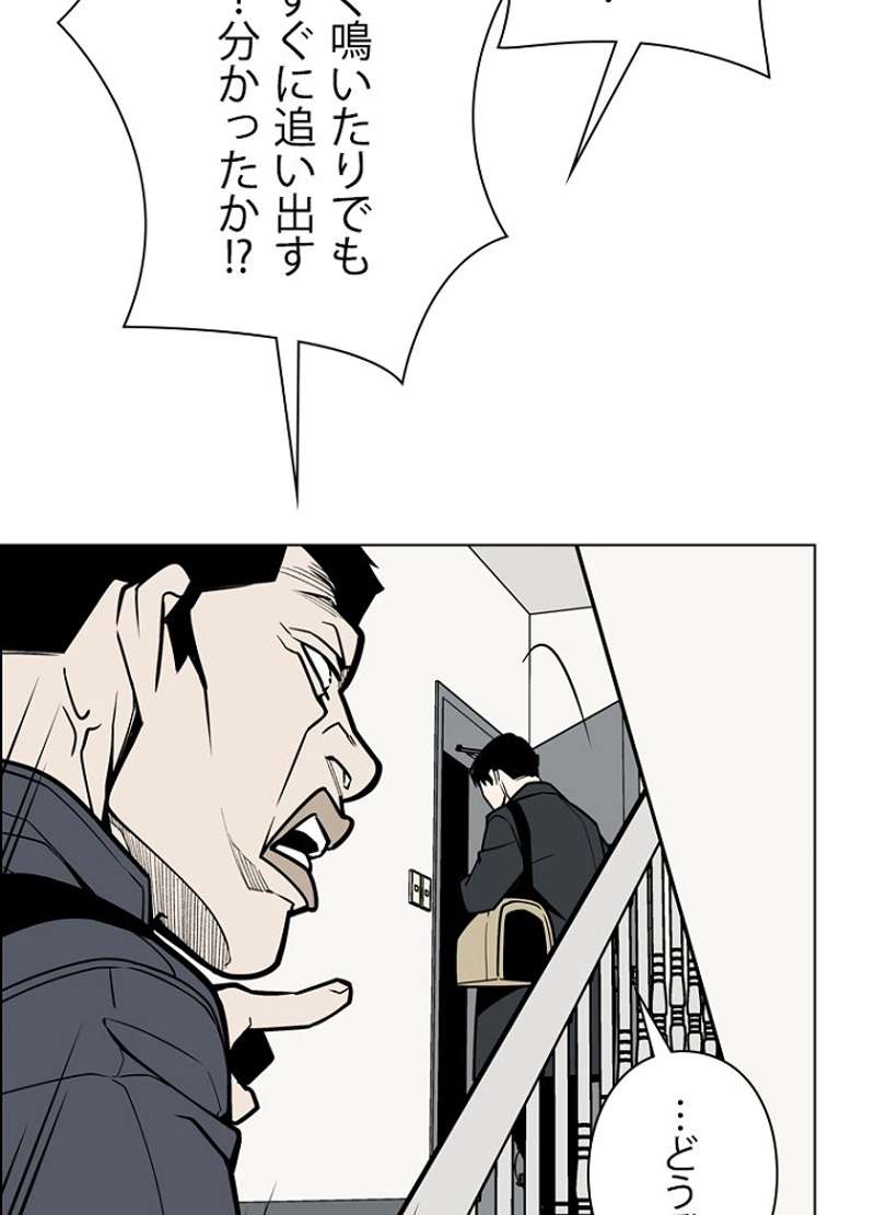 P66