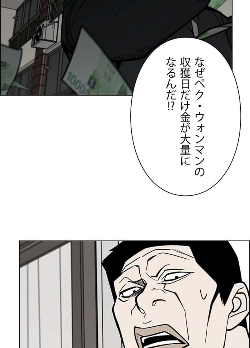 P54