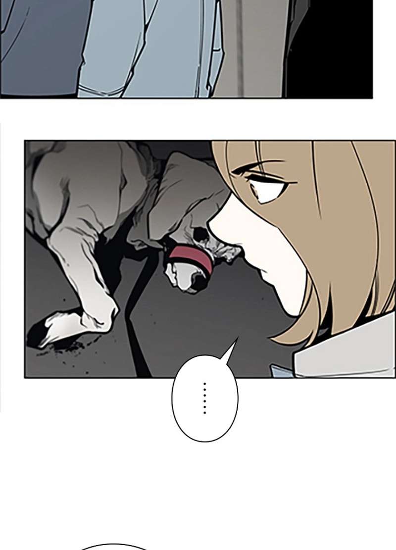 P54