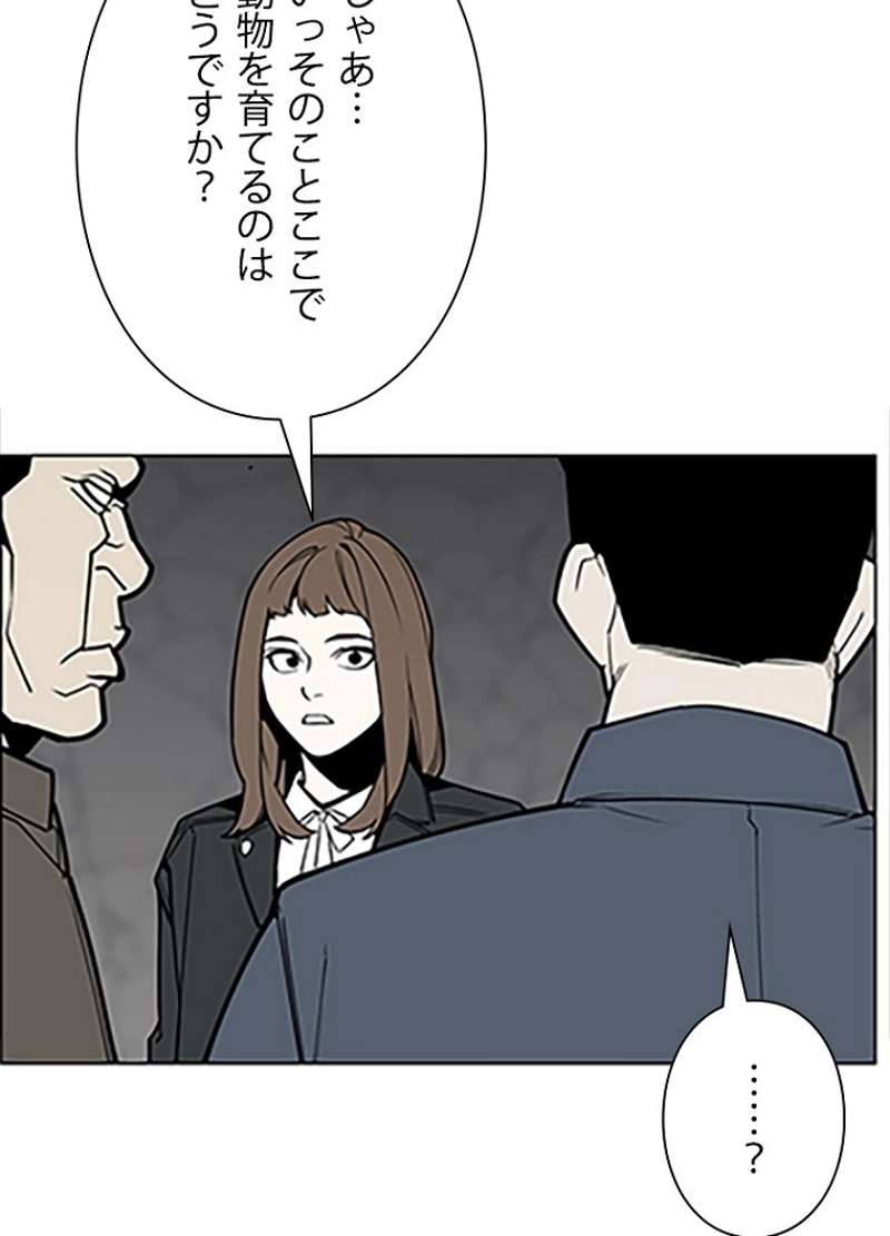 P60