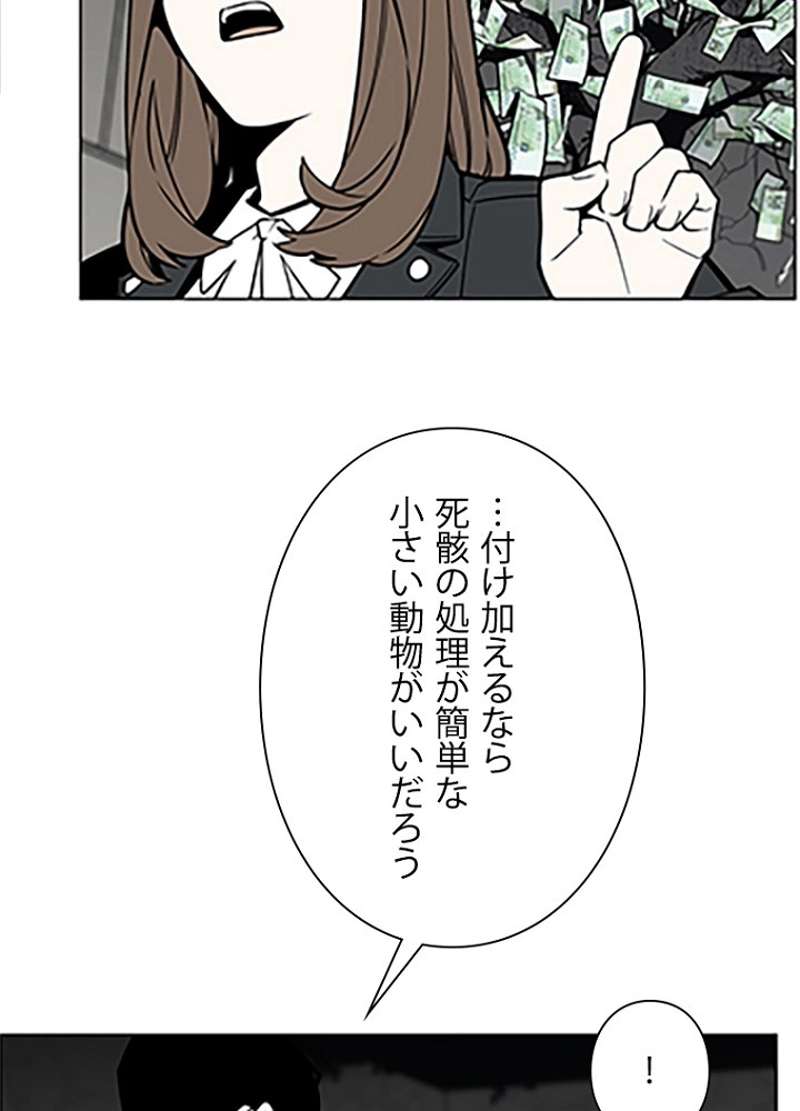 P63