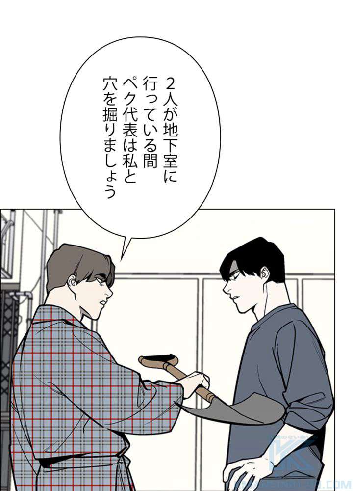 P61