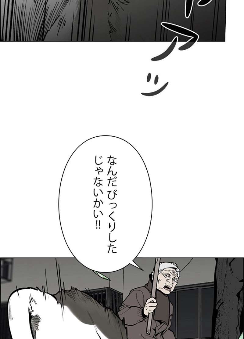 P48