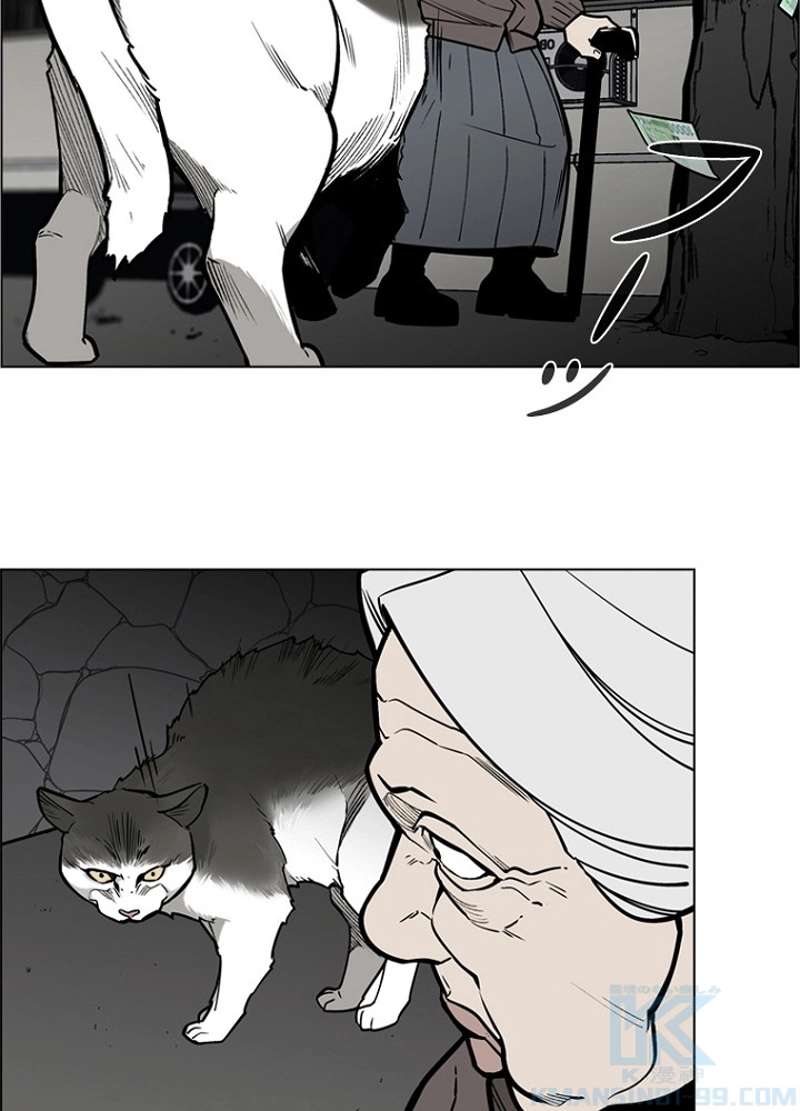 P49