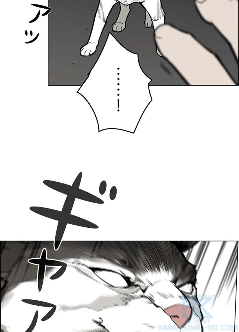 P52
