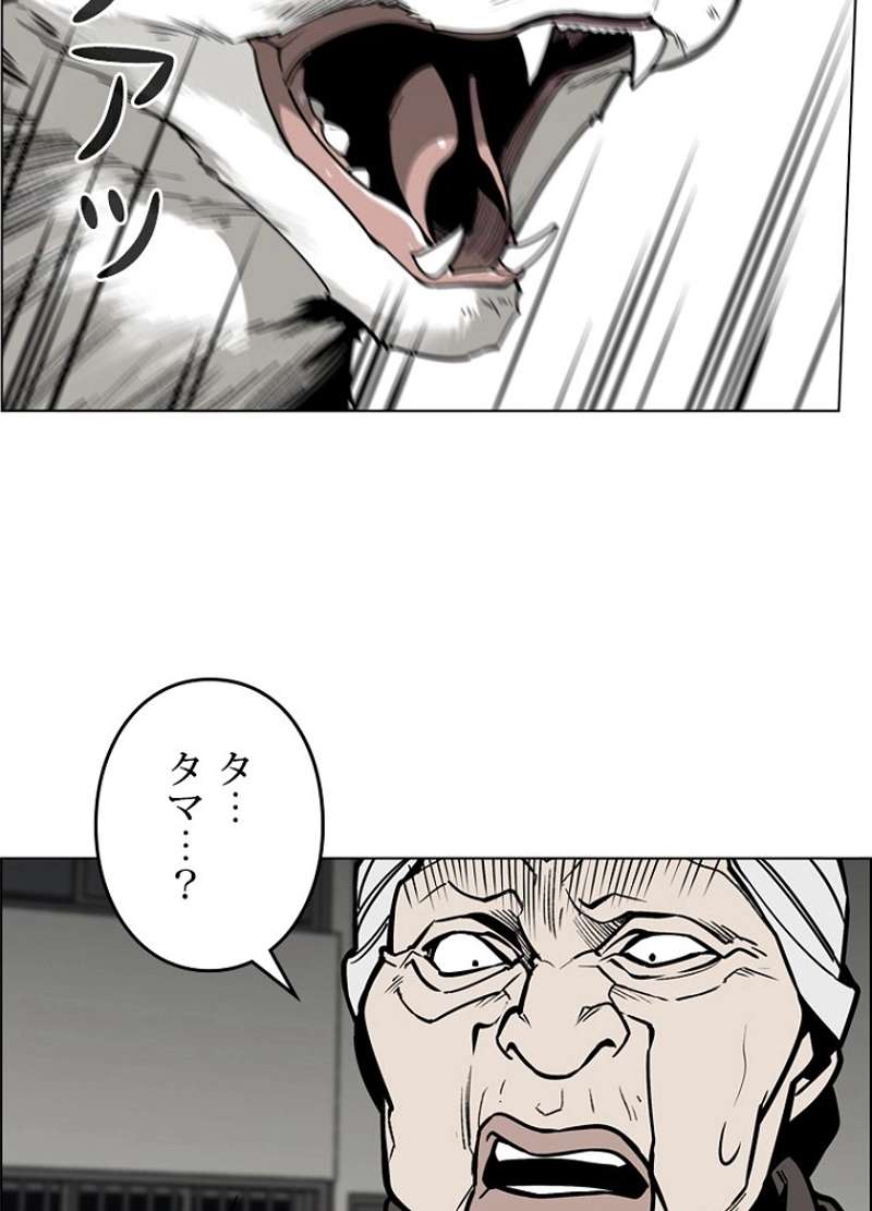 P53