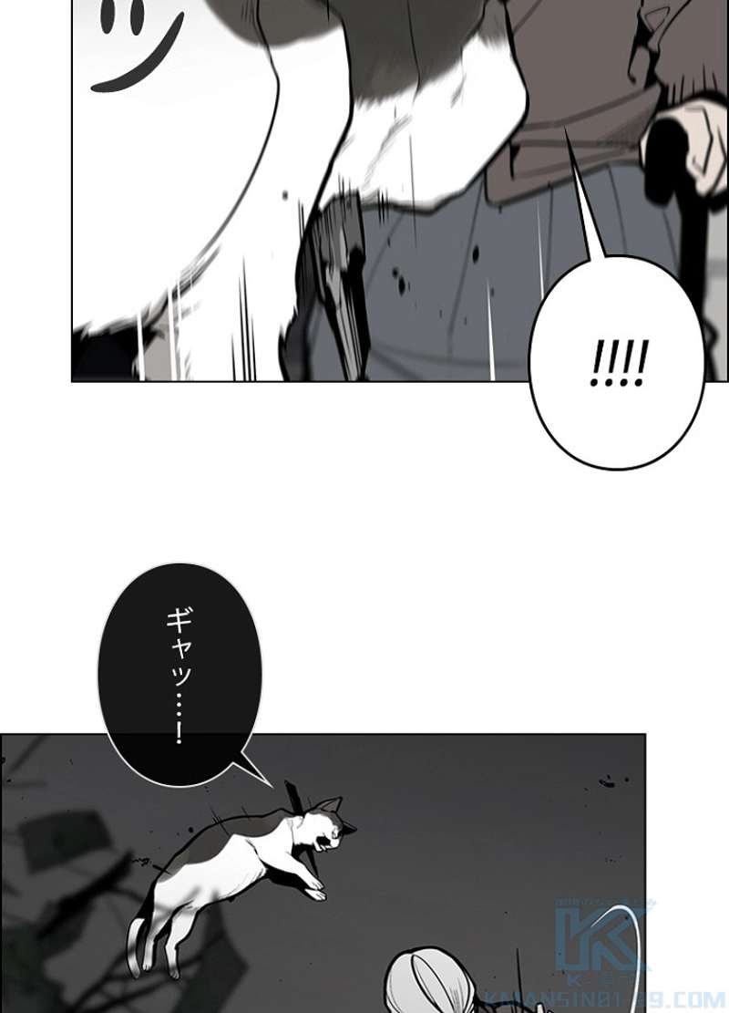P58