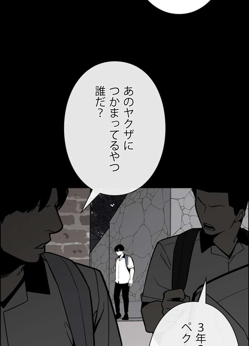 P53