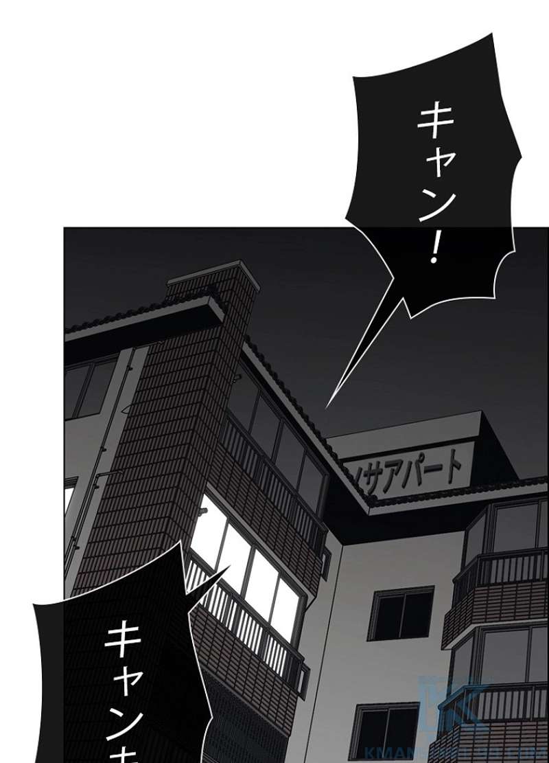 P46