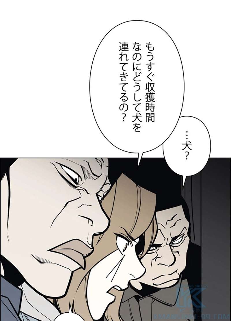 P58