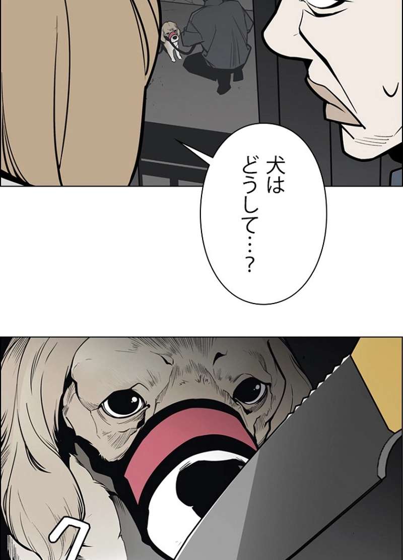 P63