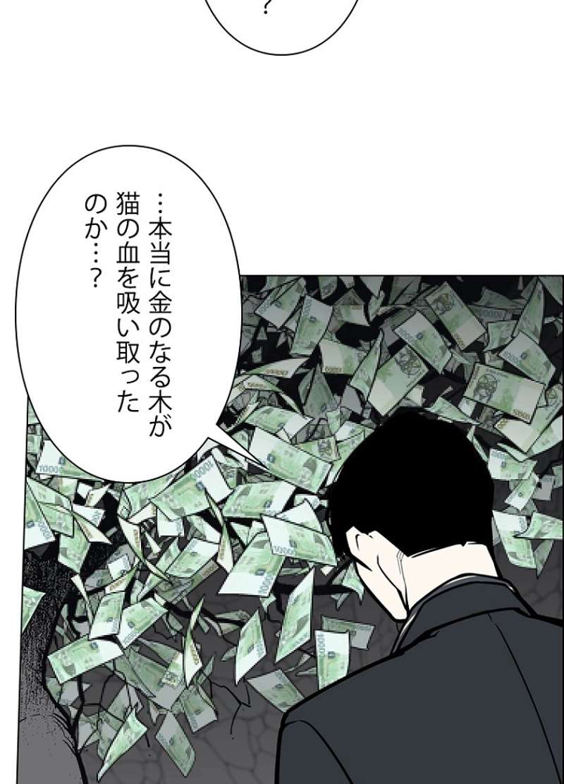 P48