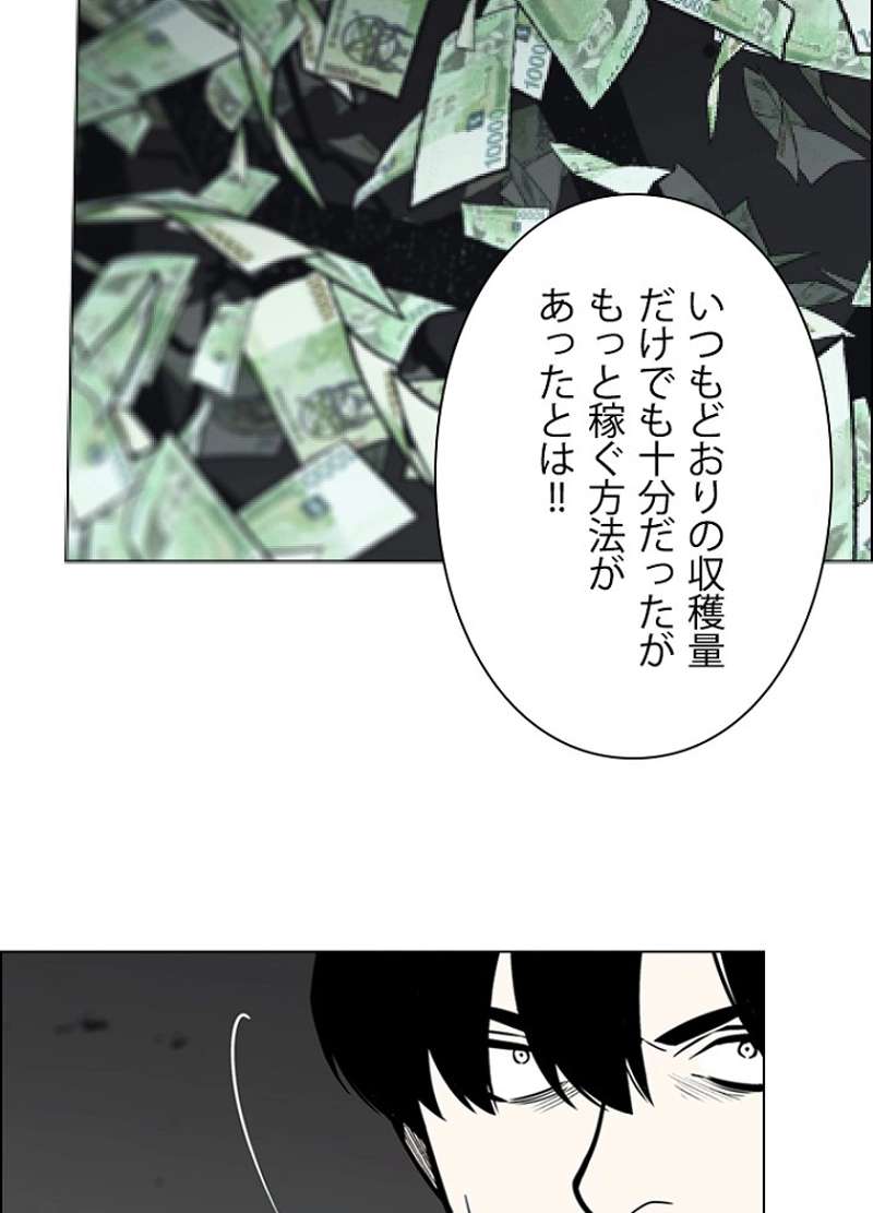 P53