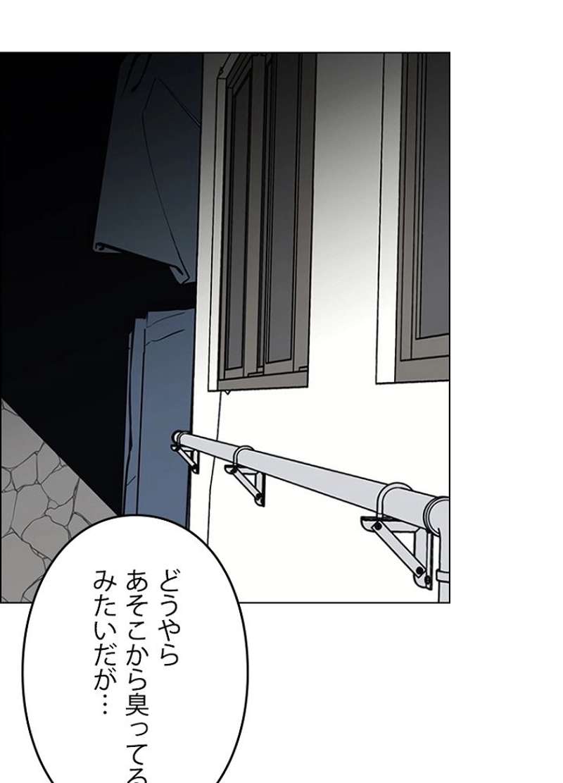 P41