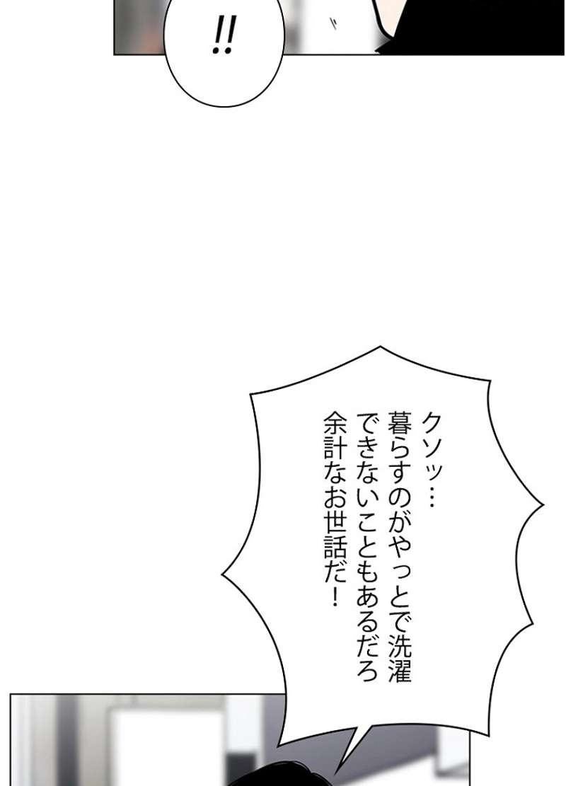 P53