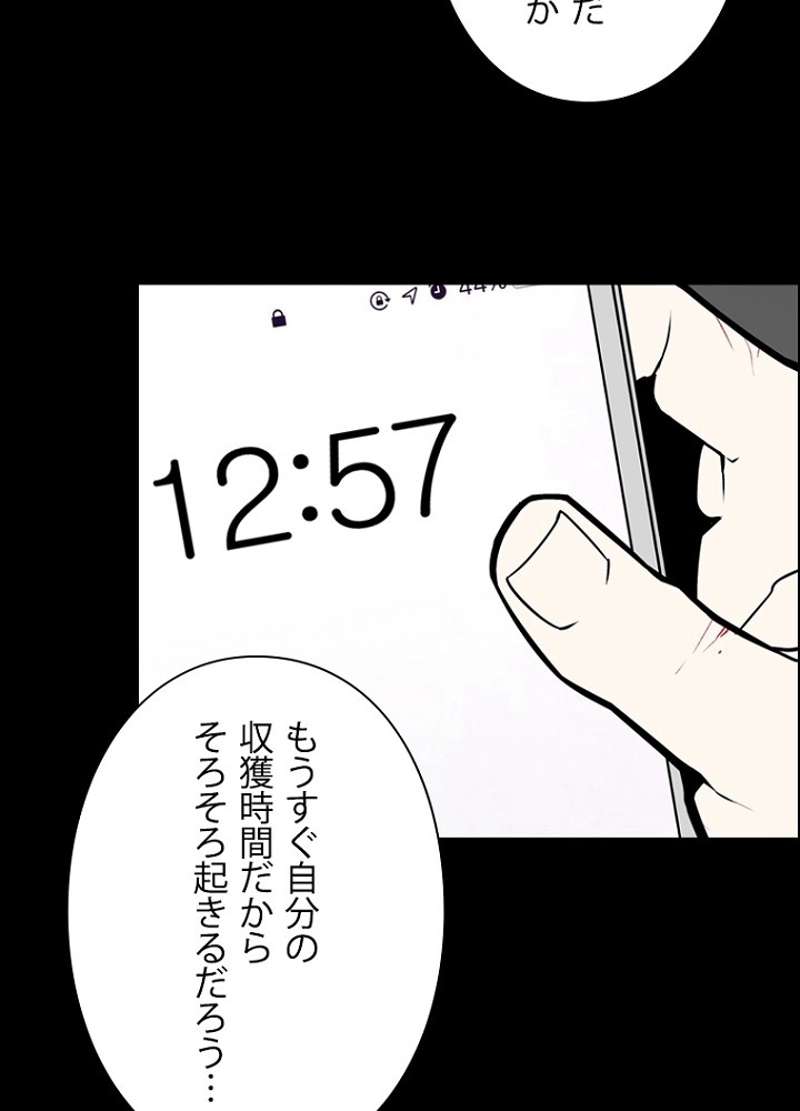 P41
