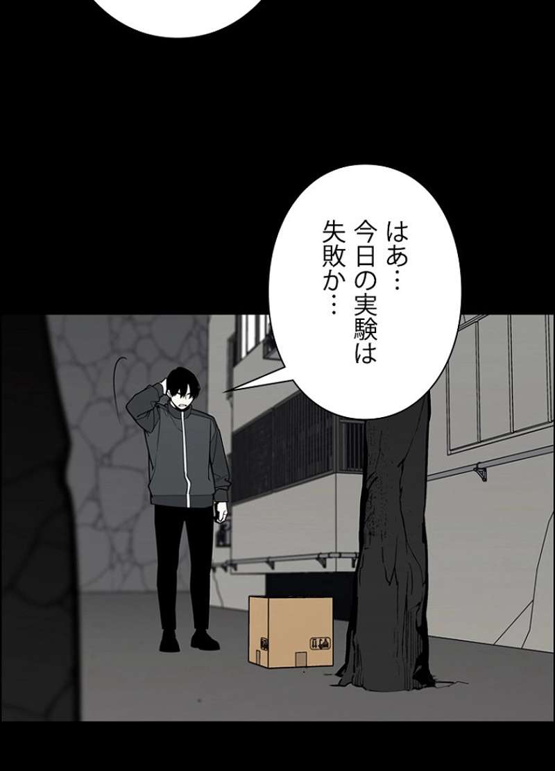 P42