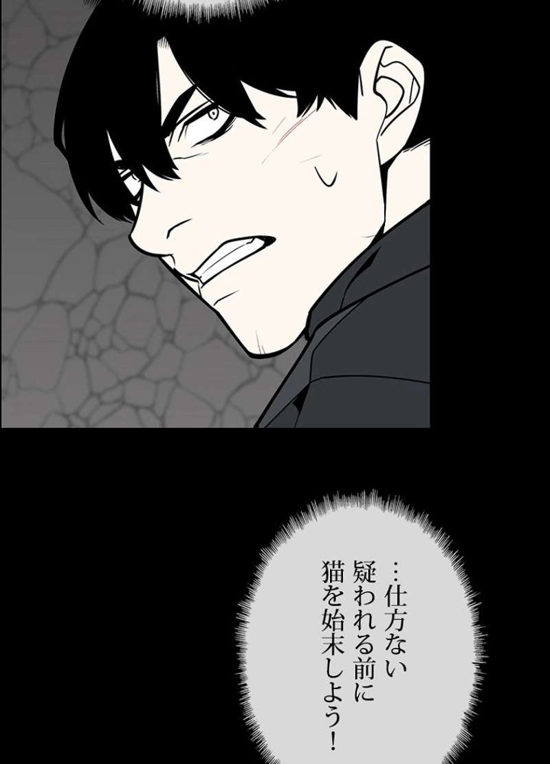 P48