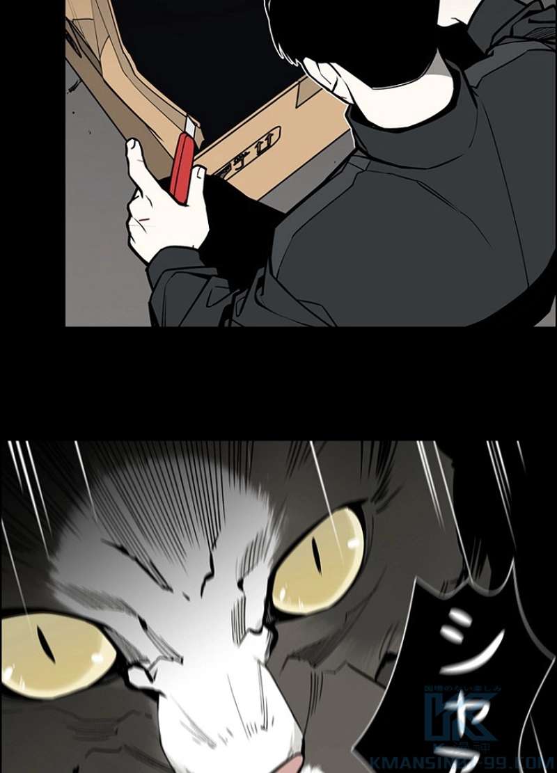 P52