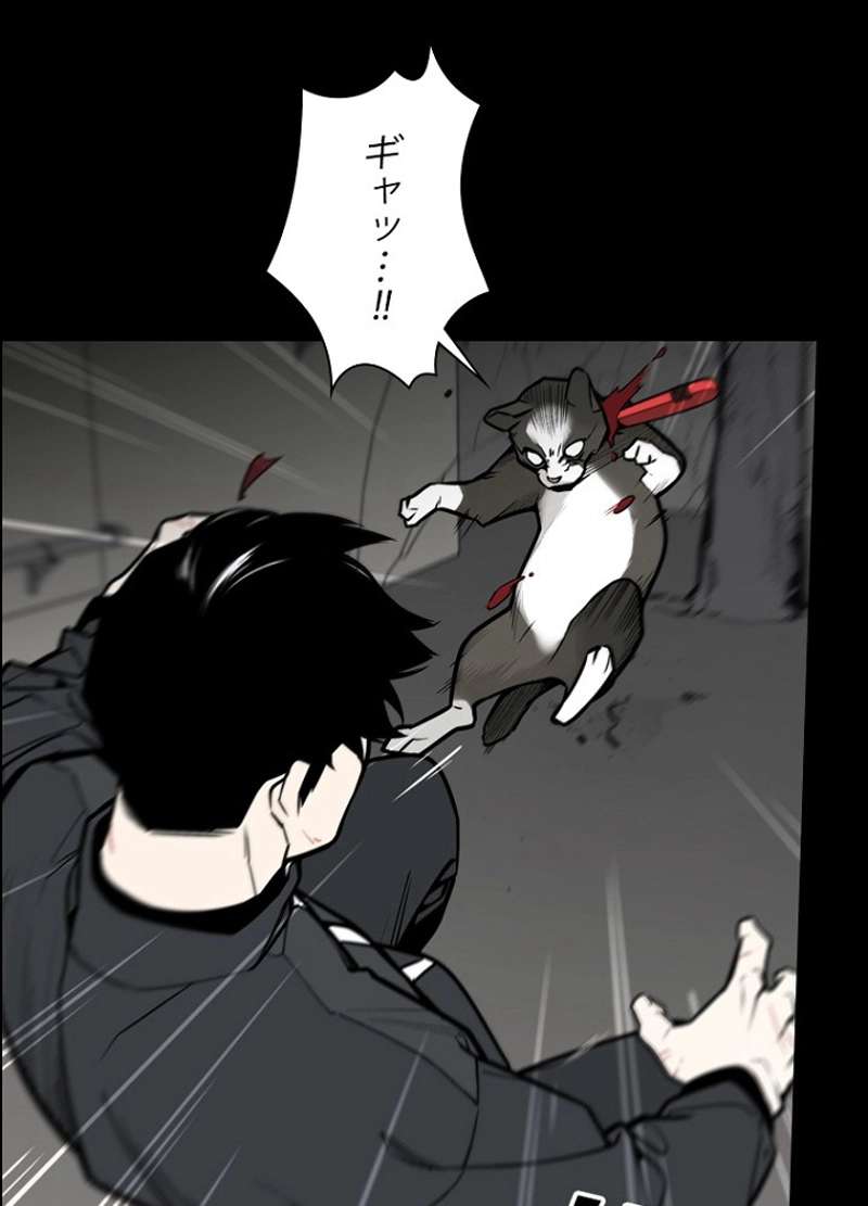 P56