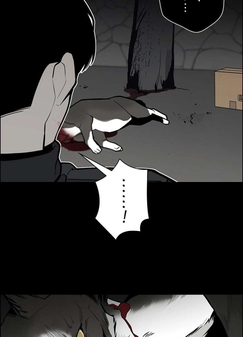 P63