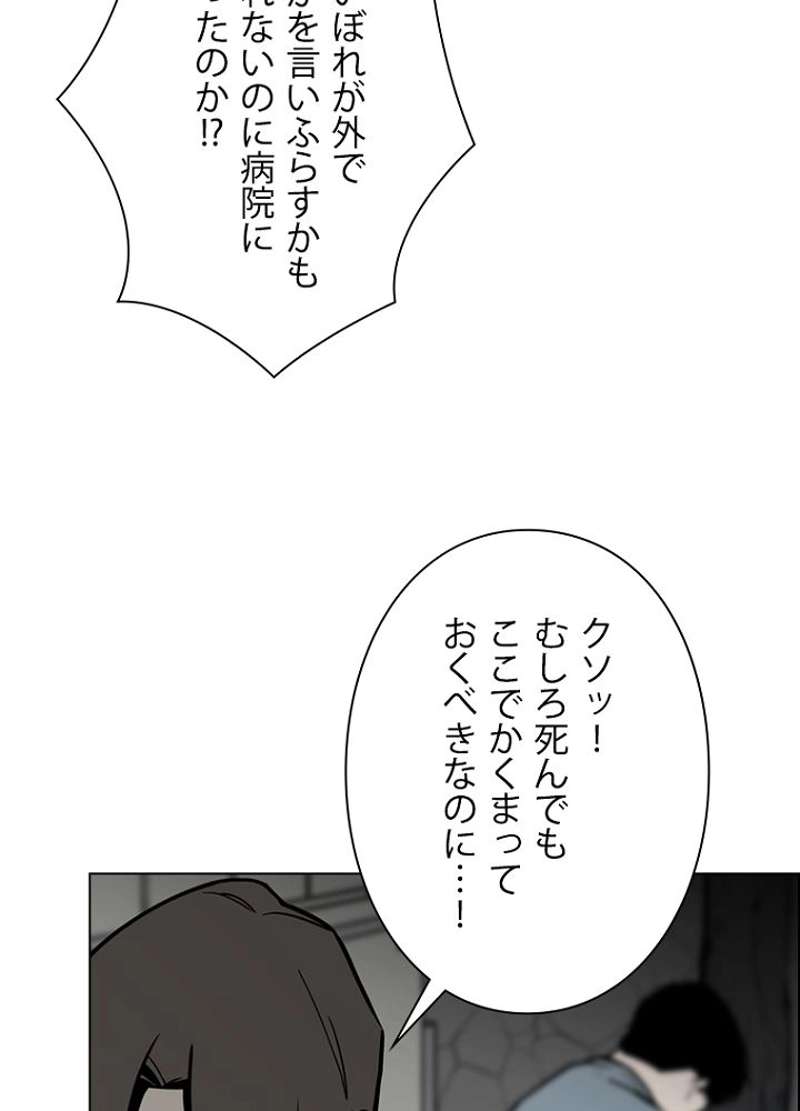 P66