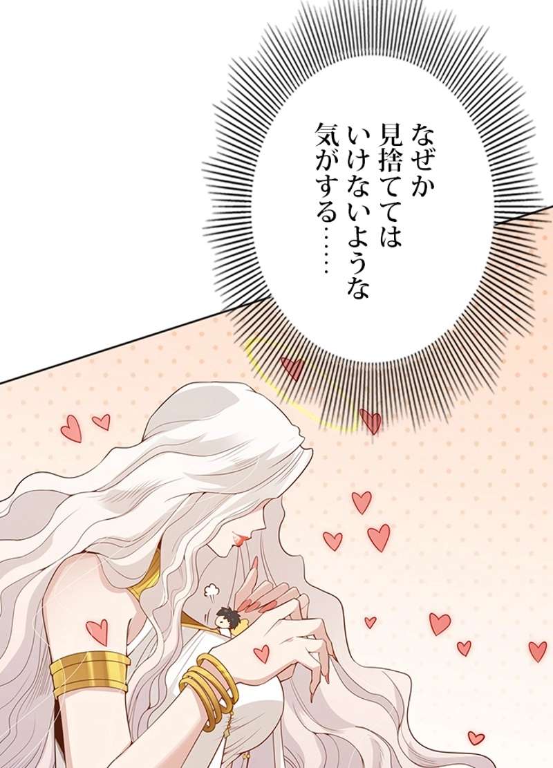 P83