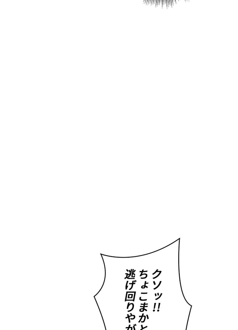 P46