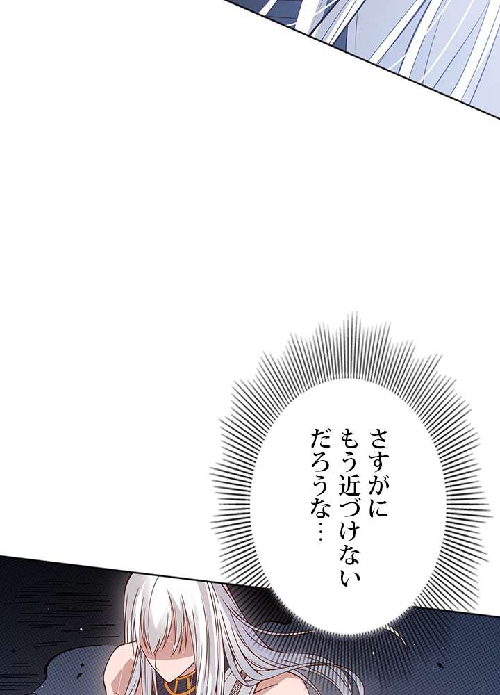 P53