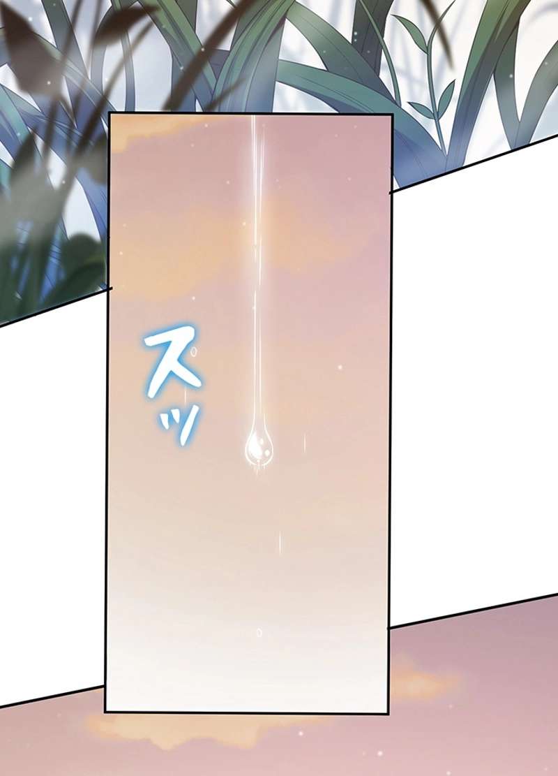 P66