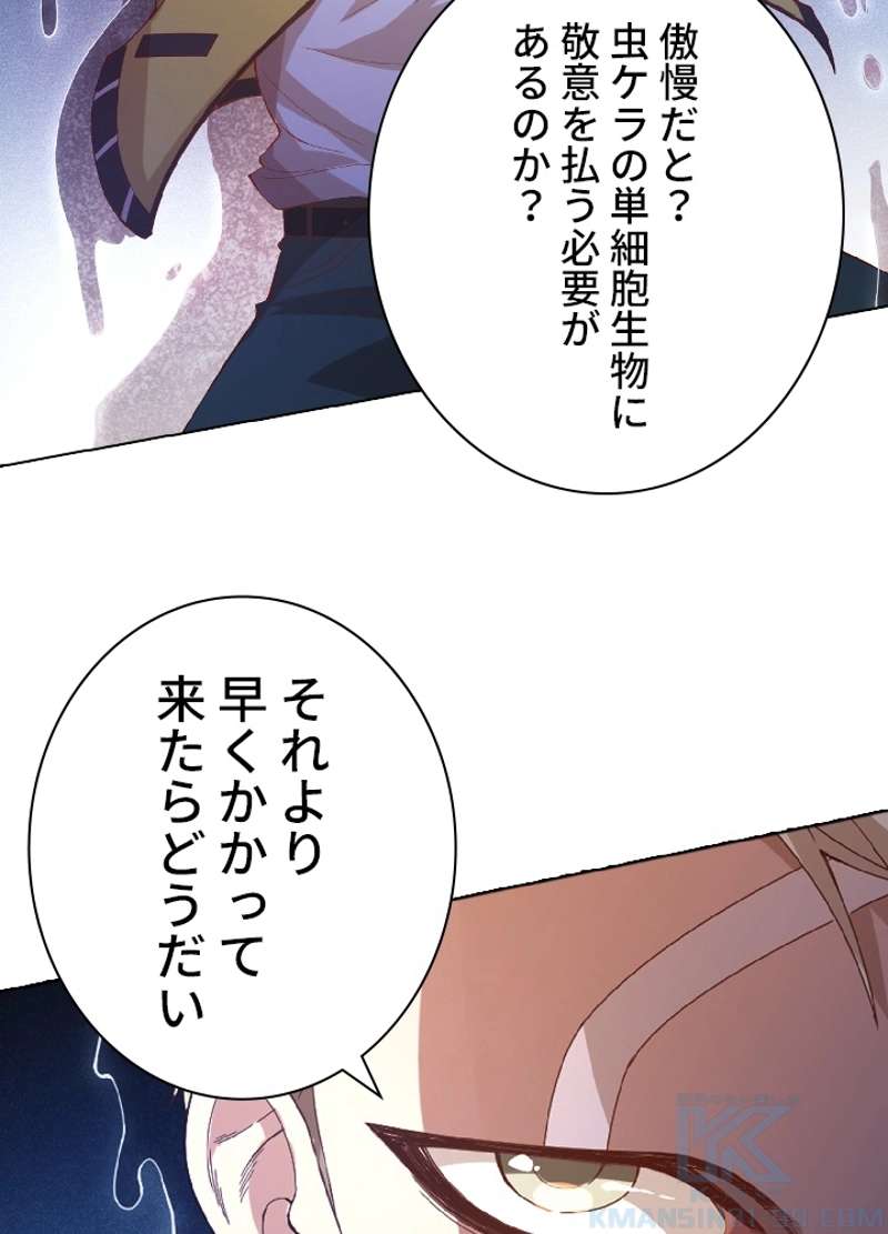 P41