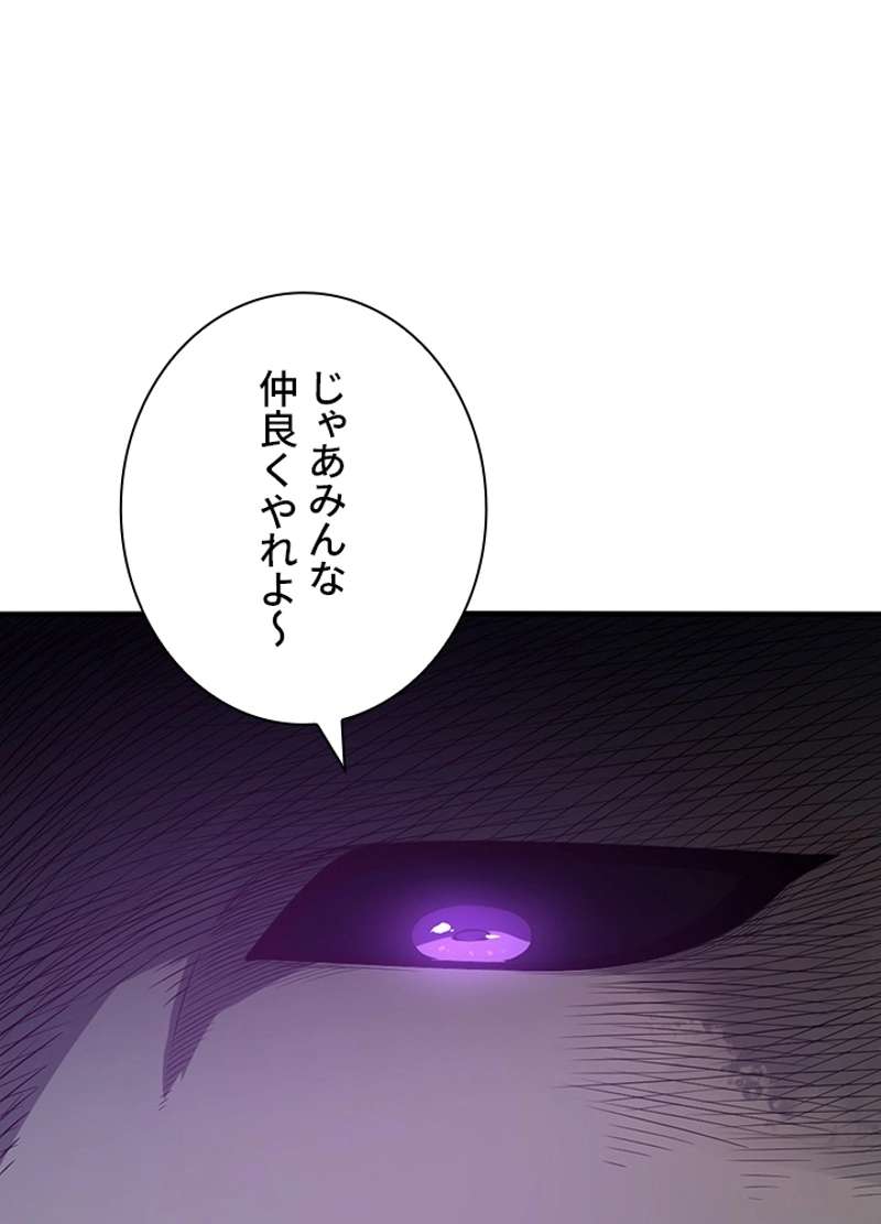 P61