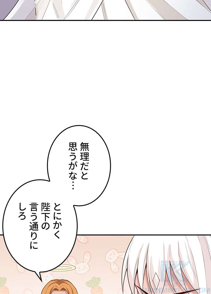 P58