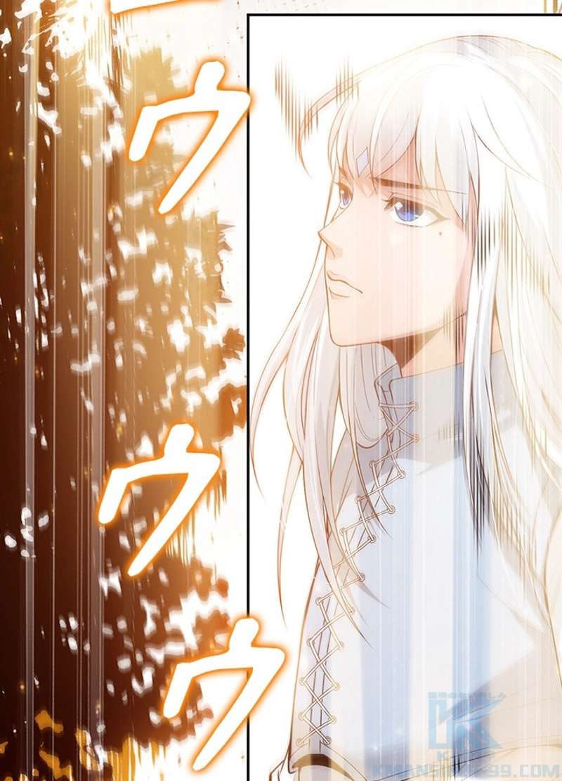 P61