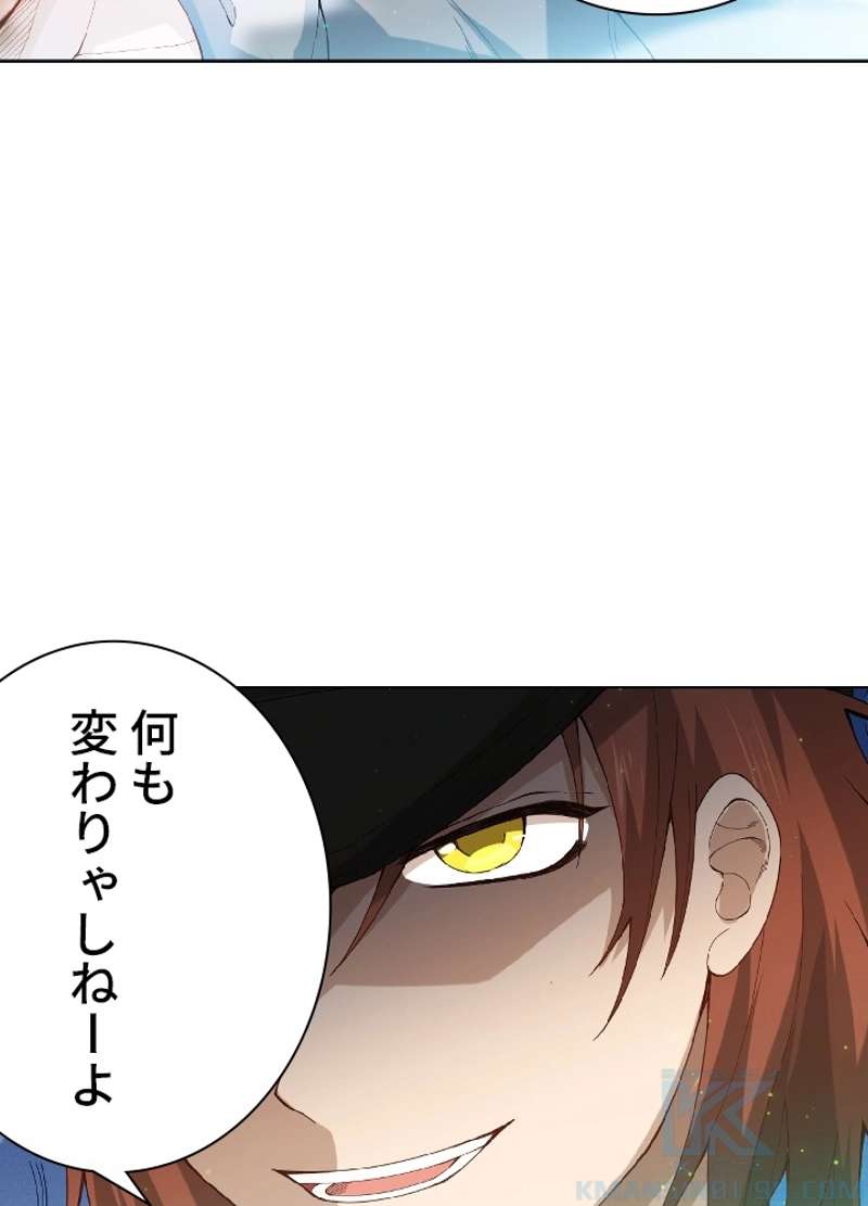 P41