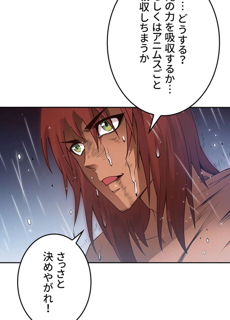 P42
