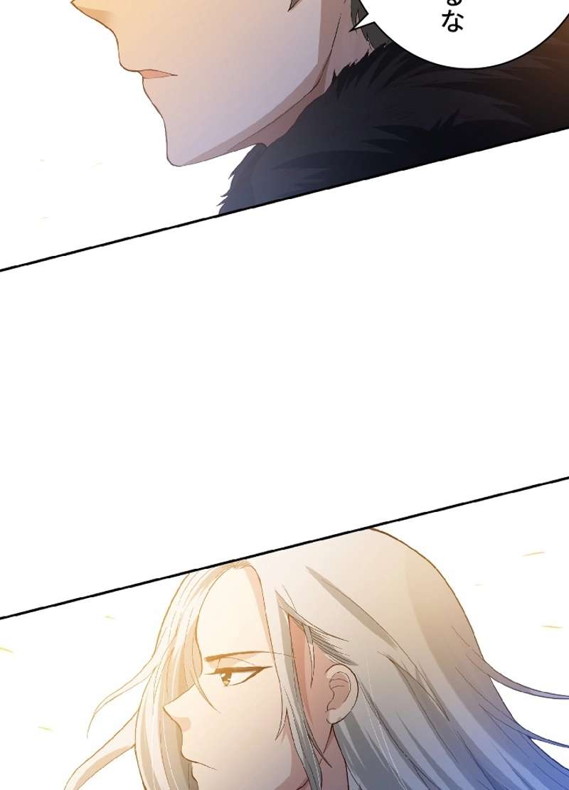 P24