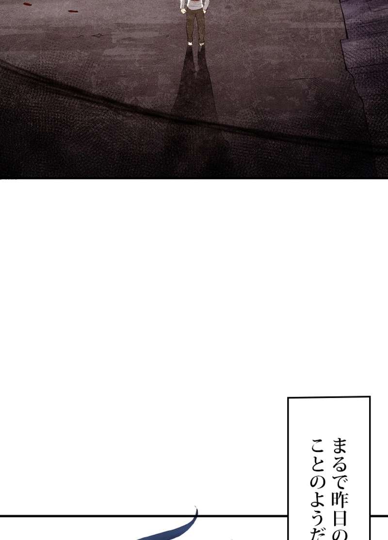 P53