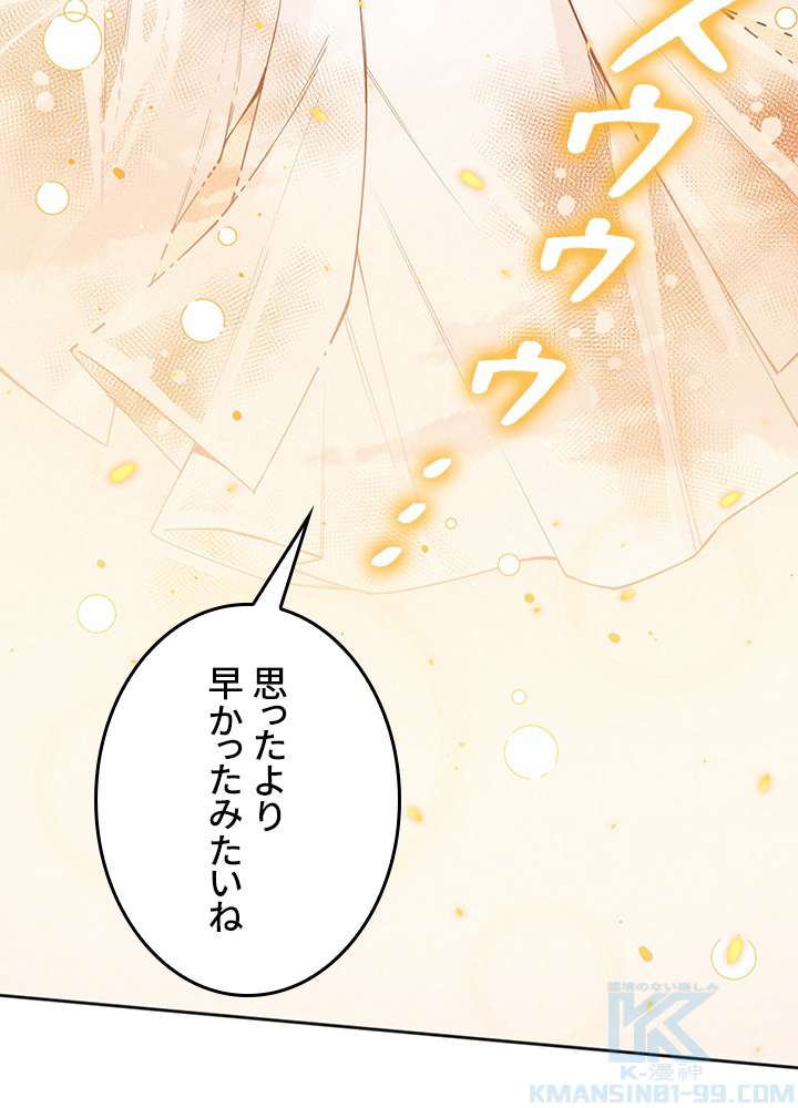 P58