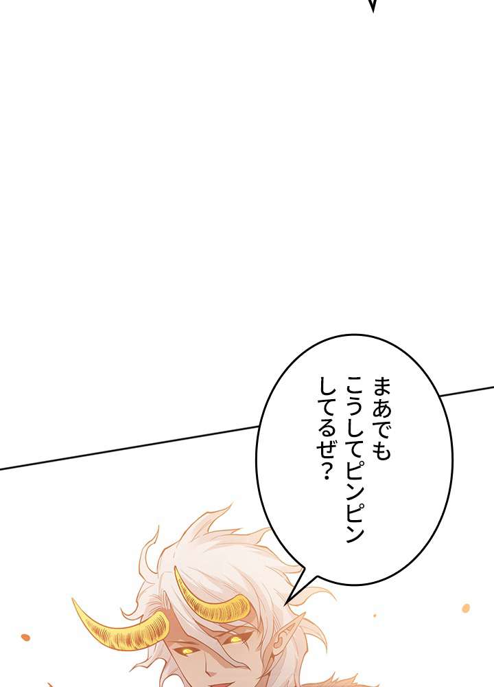 P53