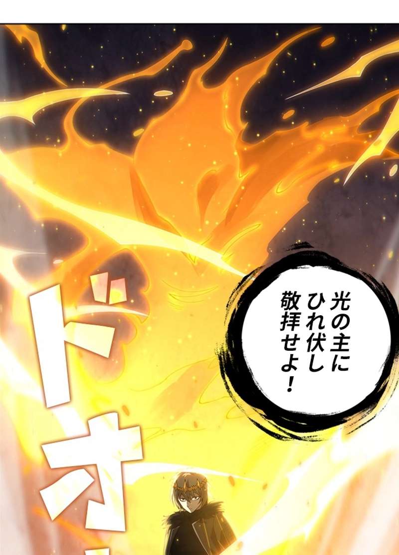 P63