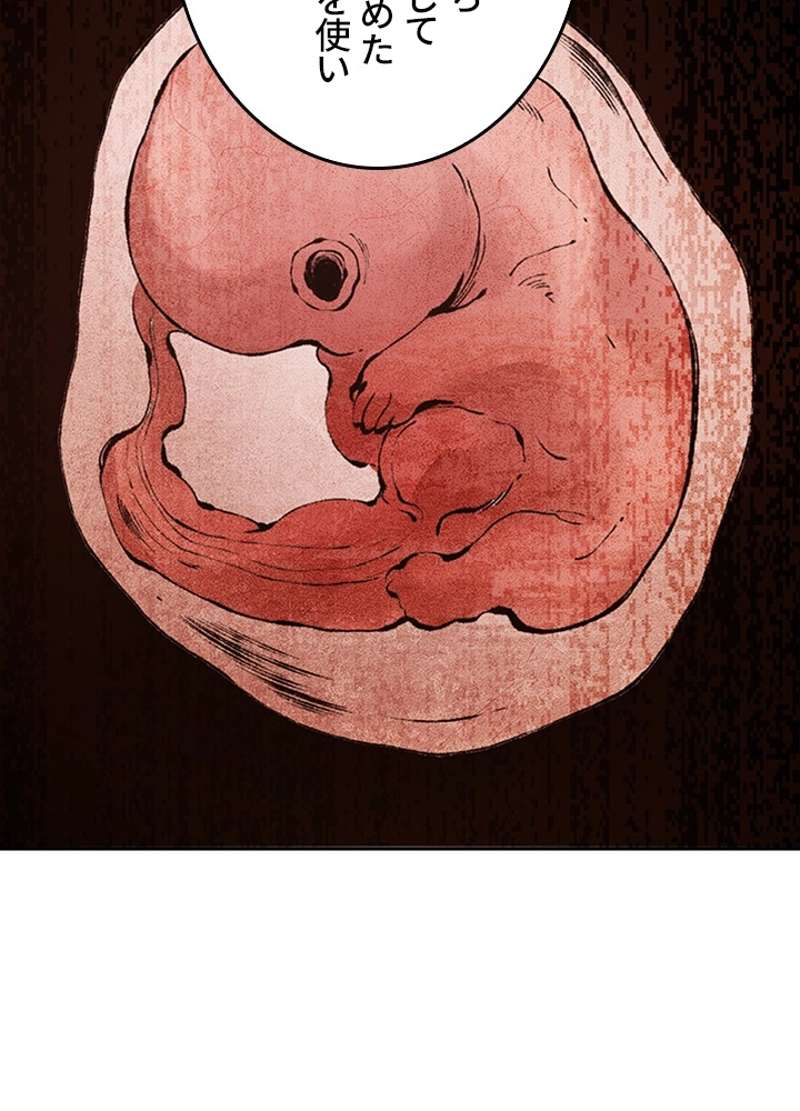 P66