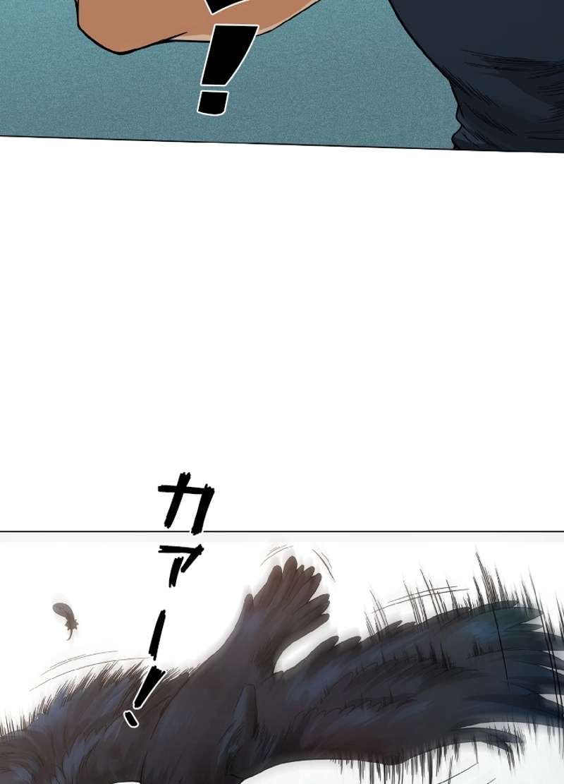 P54
