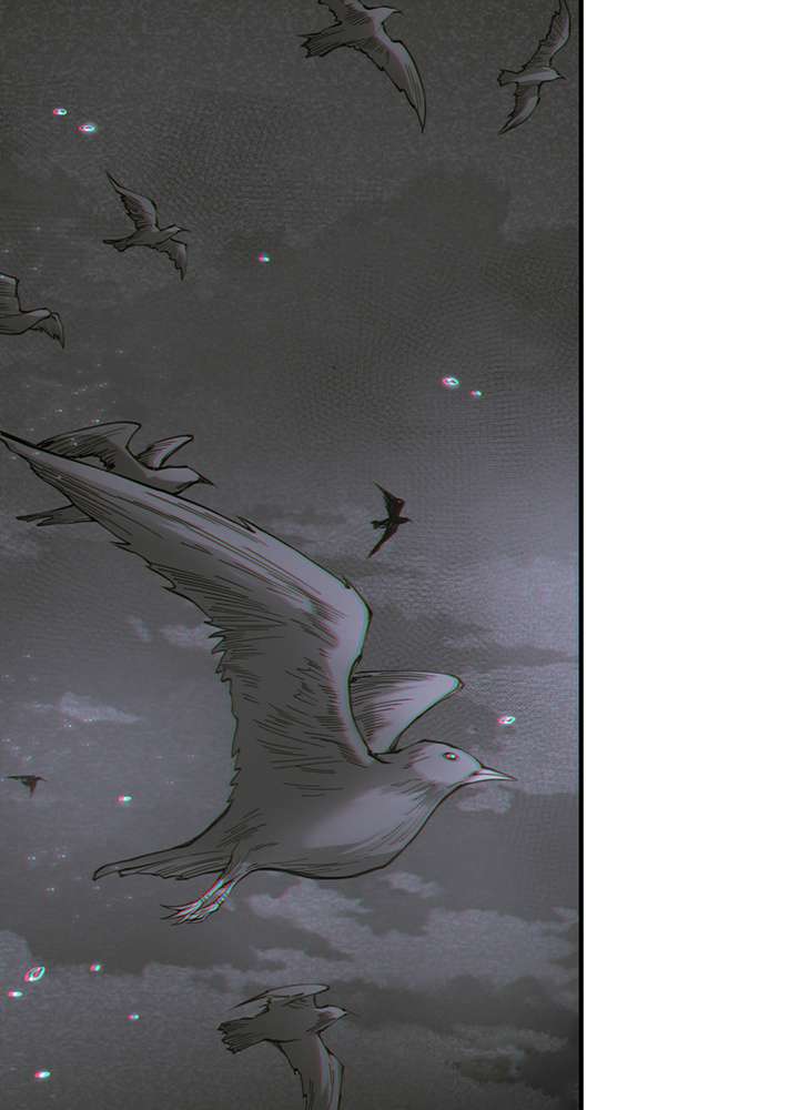 P81