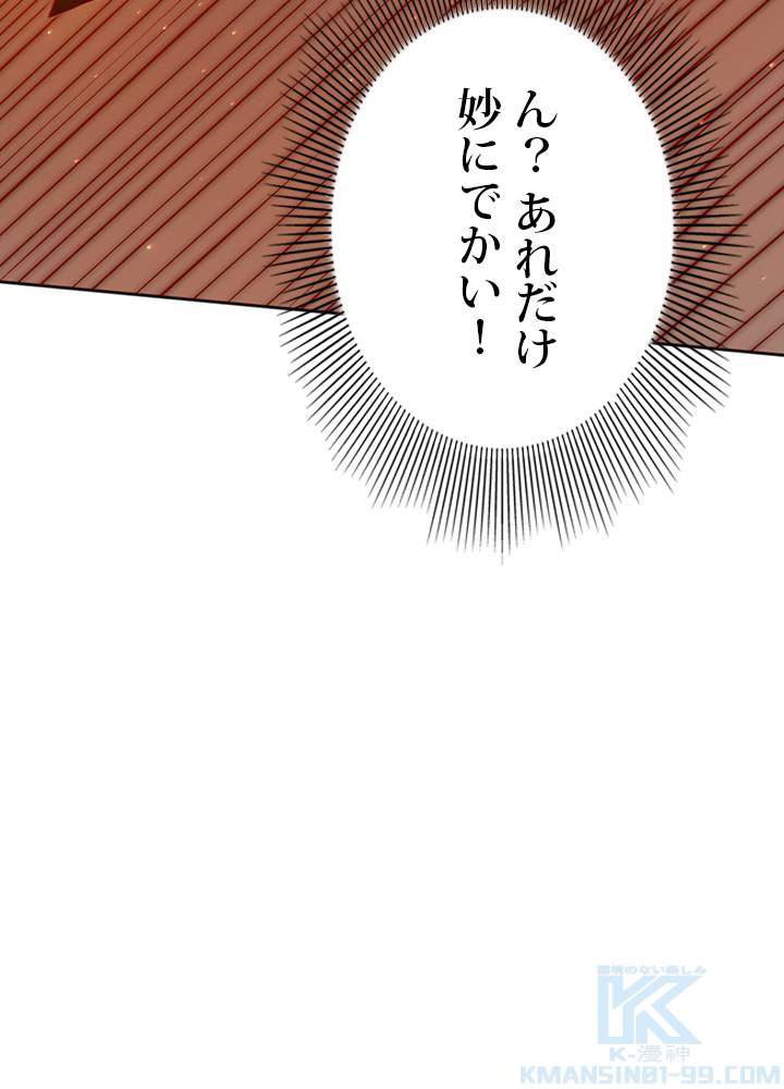 P58
