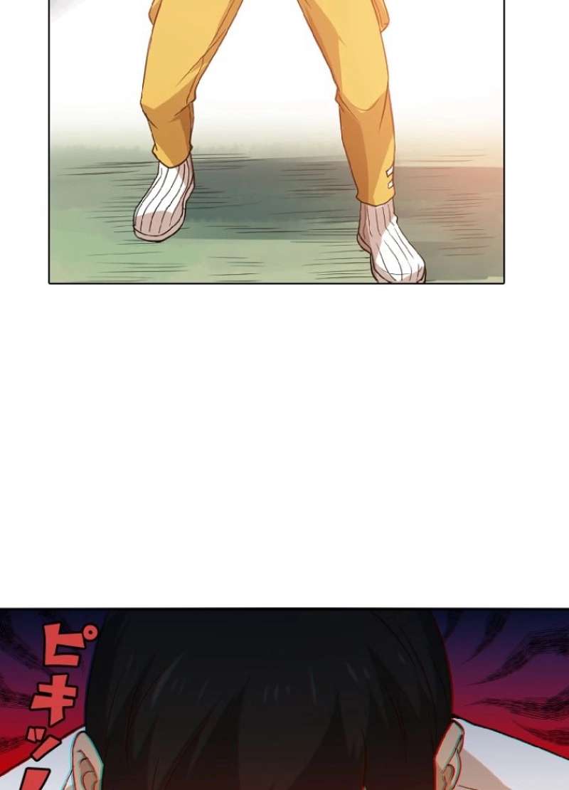 P66