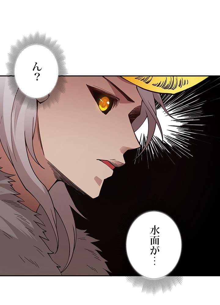 P66