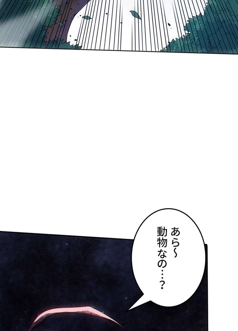 P84